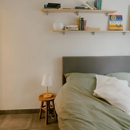 Apartment Flat Ozee *